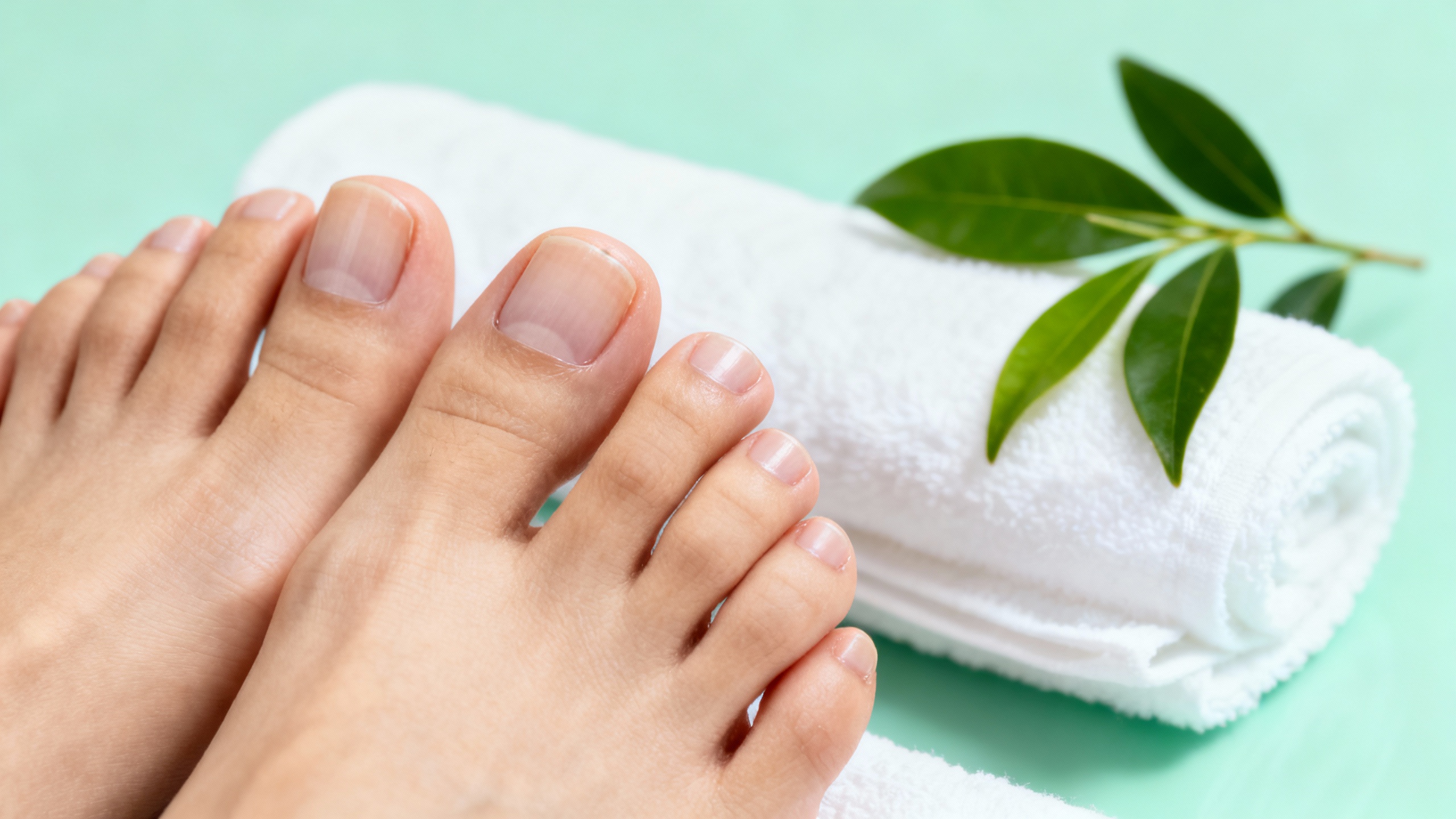 Featured image for Breaking Down Speedy Solutions: What Terminates Toenail Fungus Instantly?